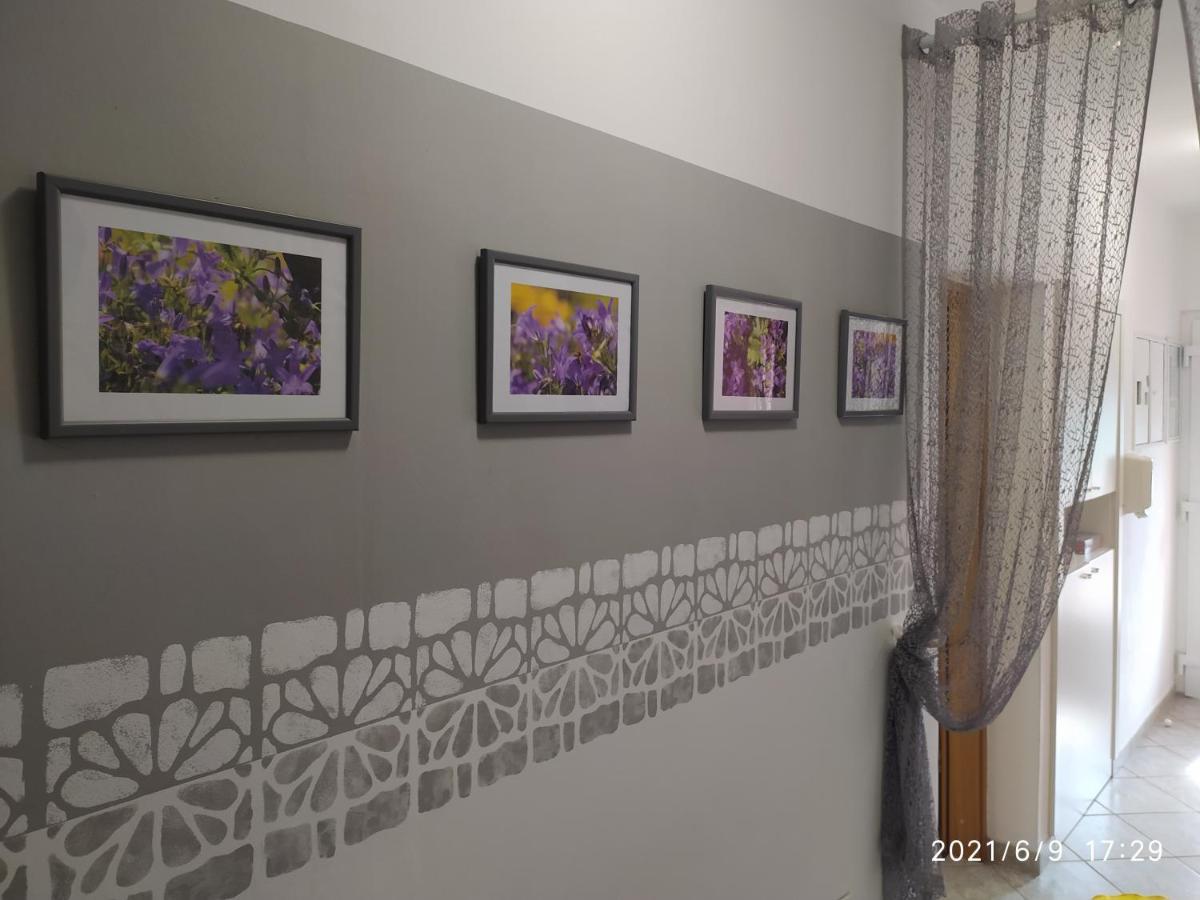 Apartment Sara โนวีวีโนดอลสกี ภายนอก รูปภาพ