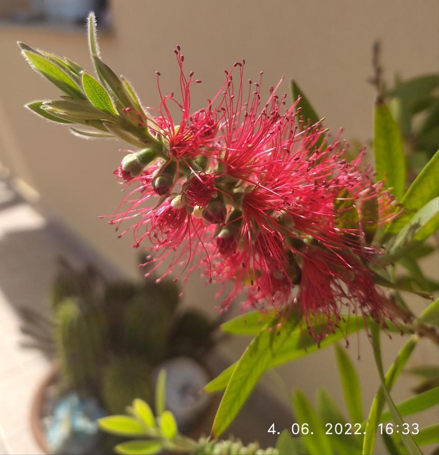 Apartment Sara โนวีวีโนดอลสกี ภายนอก รูปภาพ